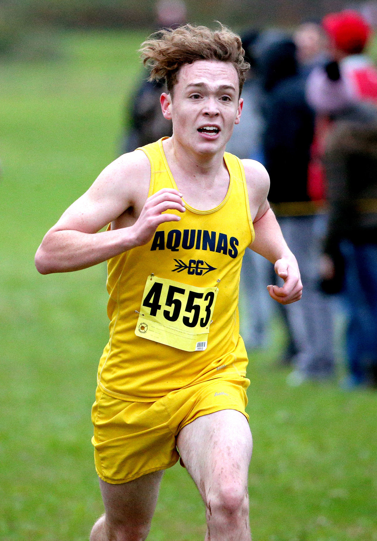 MVC Cross Country Championships